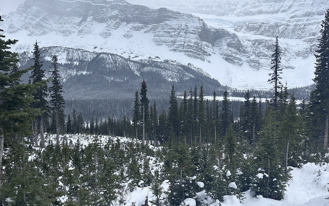 Bow Lake below an early winter trail with fresh snow and changing conditions
