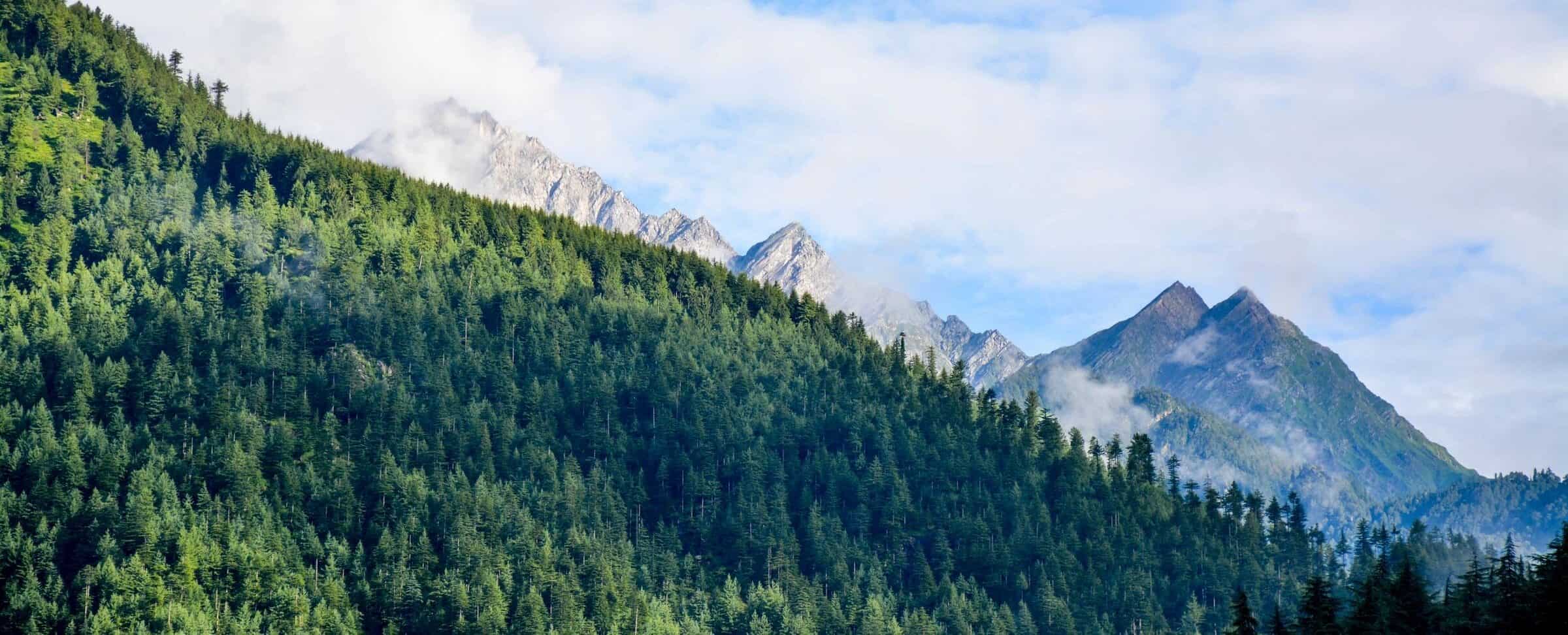 Field notes and guiding insights in the Canadian Rockies