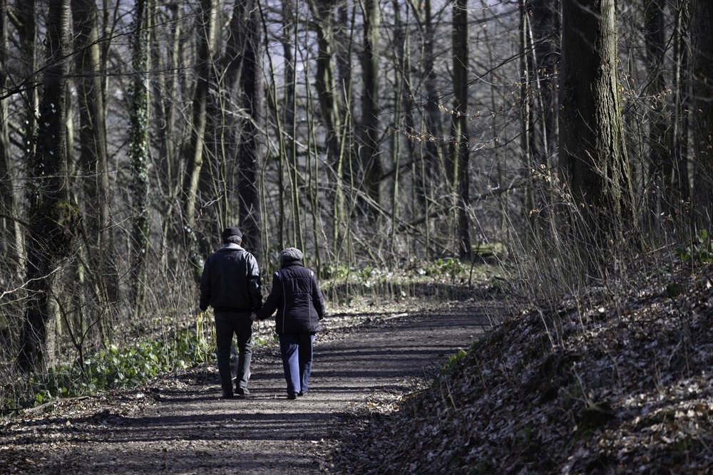 ARE GUIDED HIKES RIGHT FOR ACTIVE ADULTS OVER 50