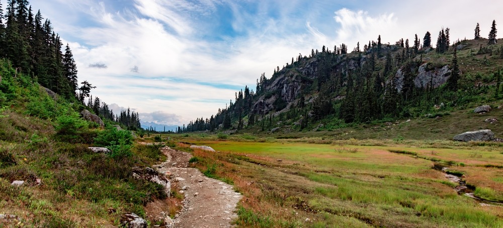 Open valley in the Canadian Rockies with a trail leading down the valley