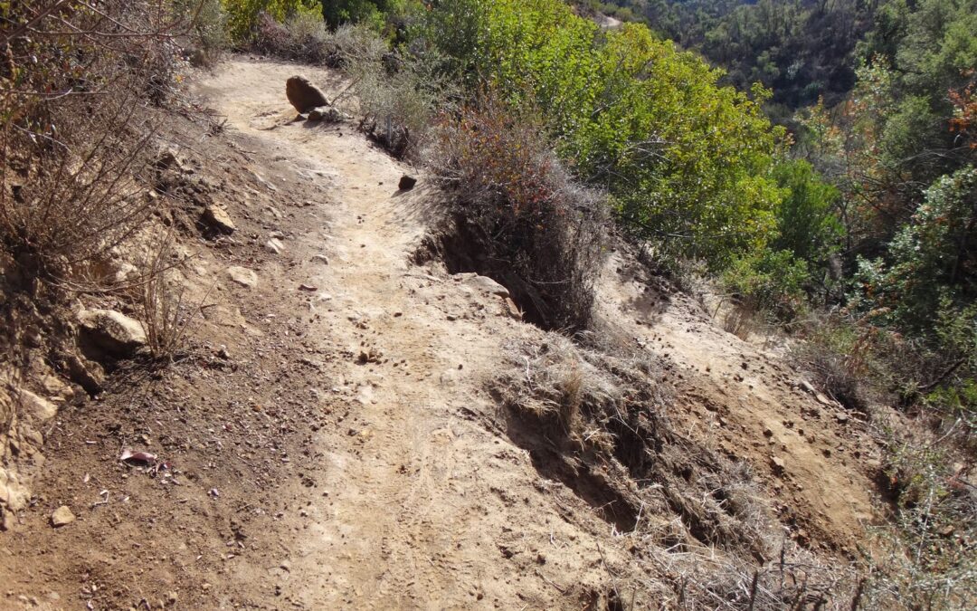 Steady uphill hiking trail in Banff National Park showing sustained elevation gain on a non-technical route