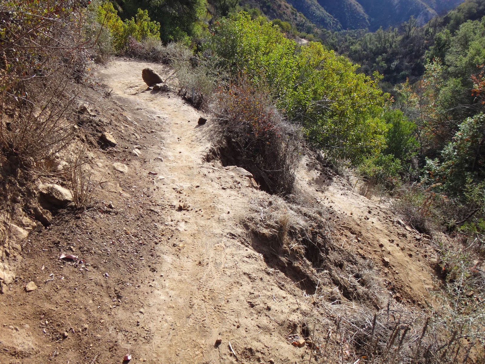 Steady uphill hiking trail in Banff National Park showing sustained elevation gain on a non-technical route