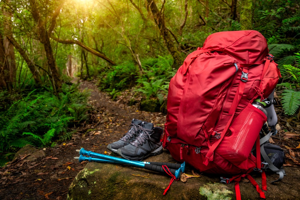 Backpack and trekking poles resting on a quiet forest trail in Banff National Park.