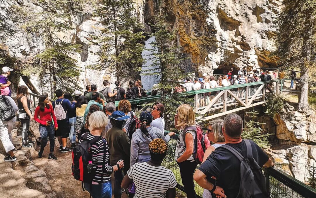 Crowds gathered at a popular Johnson Canyon viewpoint in Banff National Park during peak summer season.