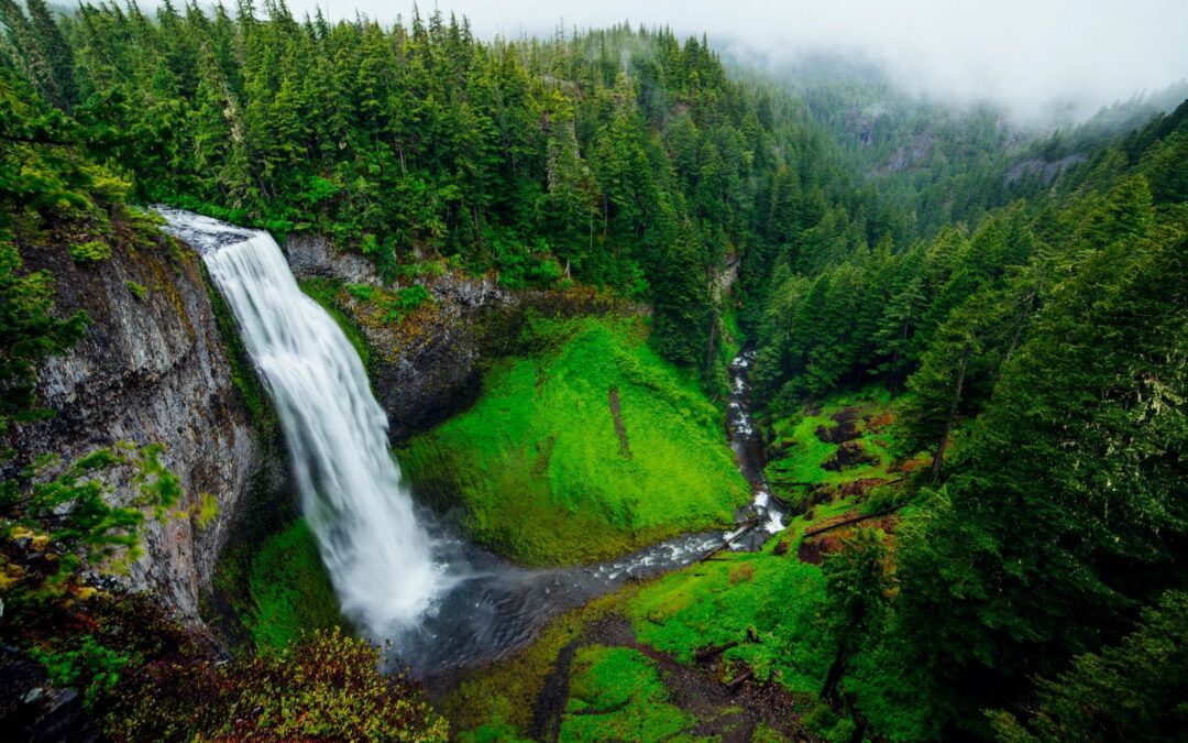 View of a lush mountain valley and waterfall from a high vantage point in Banff National Park.