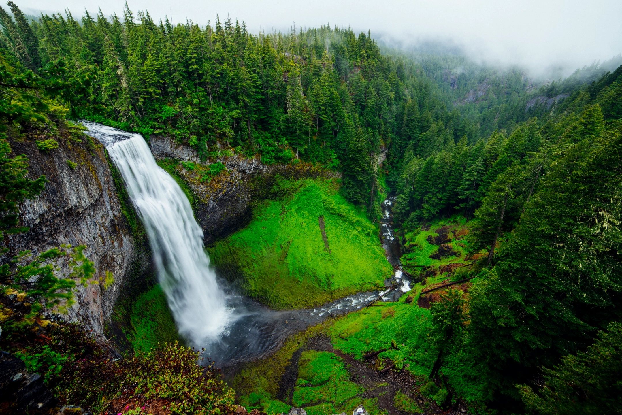View of a lush mountain valley and waterfall from a high vantage point in Banff National Park.