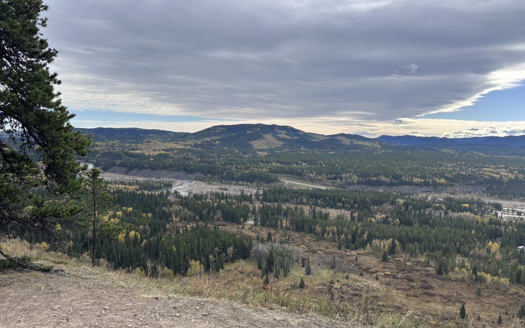The Rolling hills of Bragg Creek