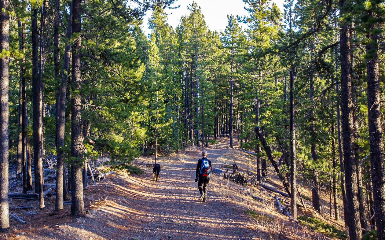 Hiking the Fullerton Loop trail in Bragg Creek