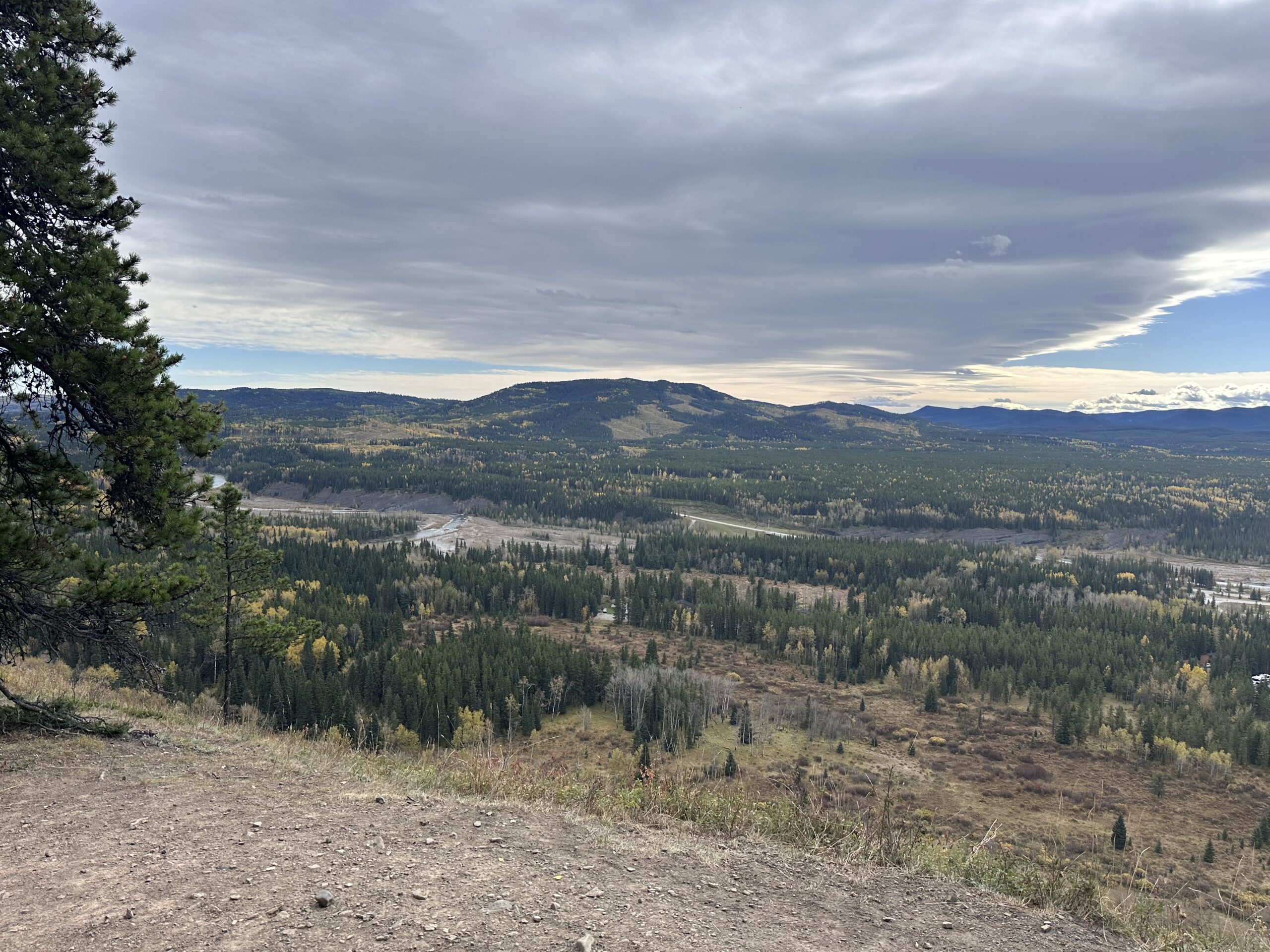 Bragg Creek foothills hiking trail and forest landscape