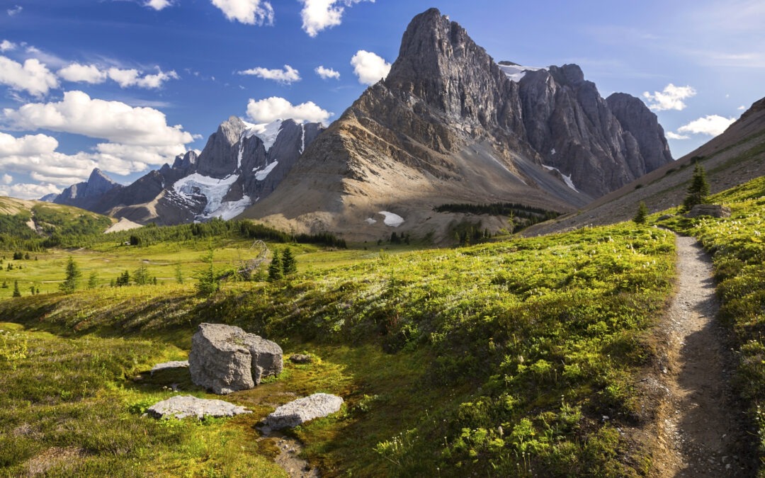 Easy hiking trail leading through mountains in Banff National Park