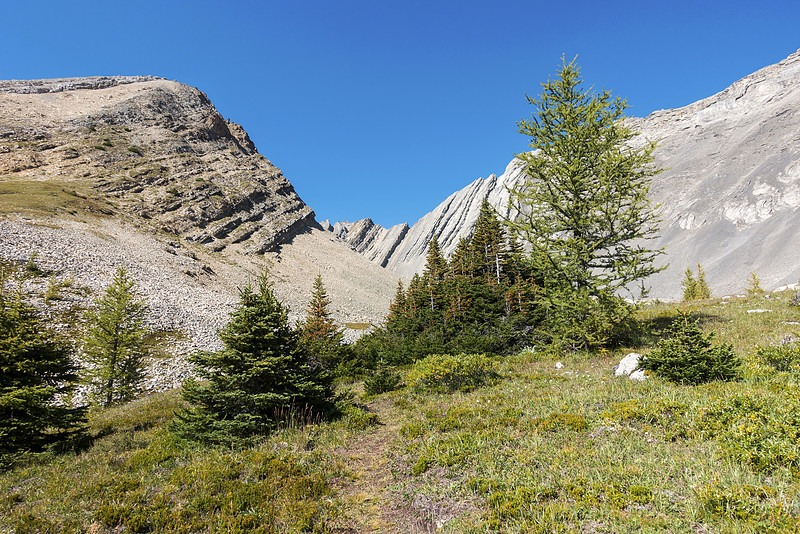 ELBOW–SHEEP WILDLAND PROVINCIAL PARK HIKING to mount Burns in The Distance