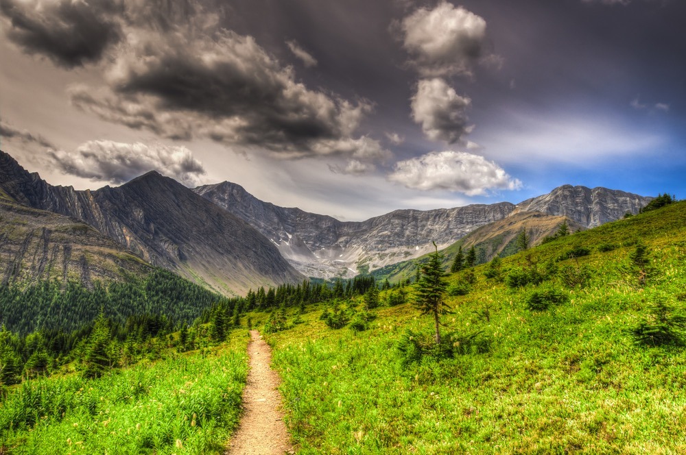 Hiking trail across alpine terrain near Highwood Pass in Kananaskis Country