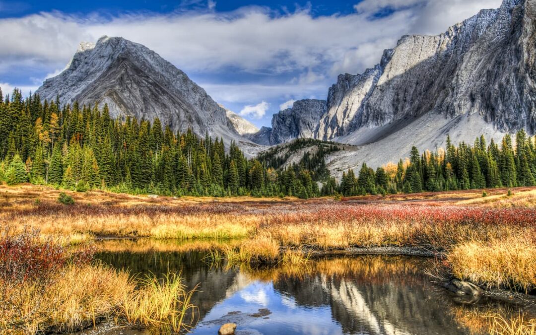 Vibrant colors show just how beautiful scenic trails are in Peter Lougheed Provincial Park