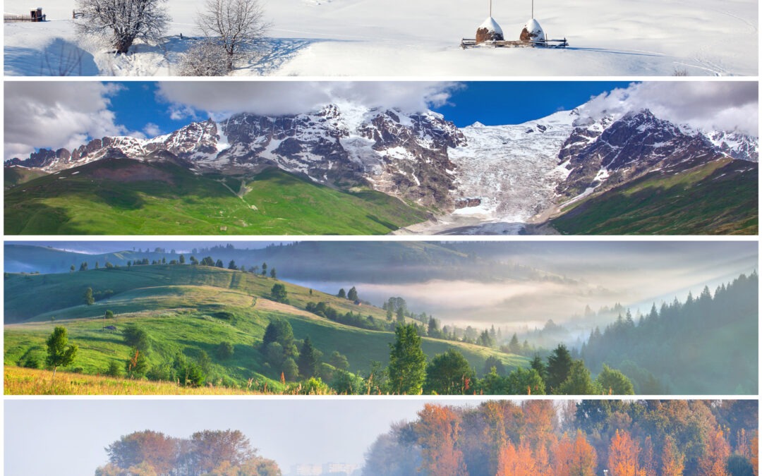 “Four-season view of the Canadian Rockies showing spring, summer, fall, and winter landscape changes.”