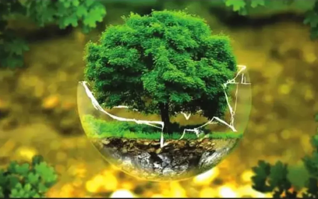 Shared Responsibility in Crowded Parks Like Banff National Park