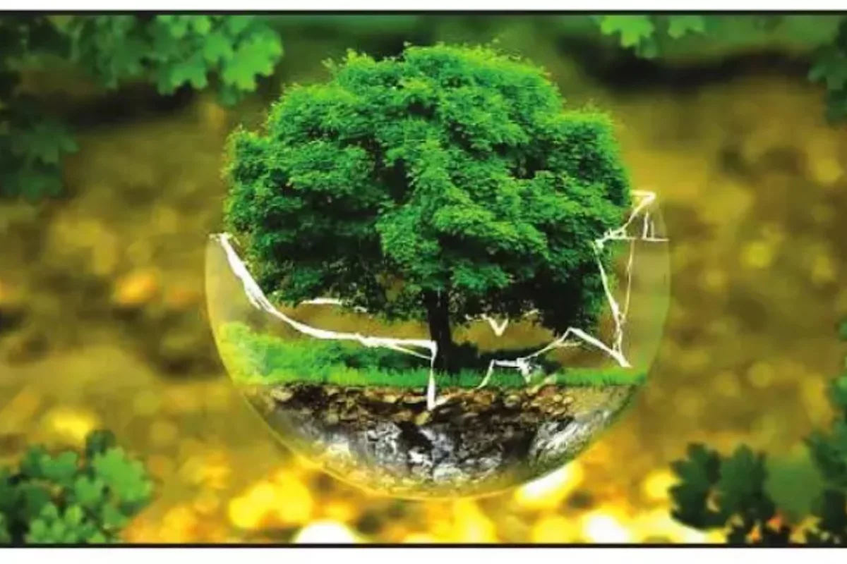 Shared Responsibility in Crowded Parks Like Banff National Park