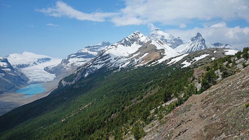 Parker Ridge in Banff National Park