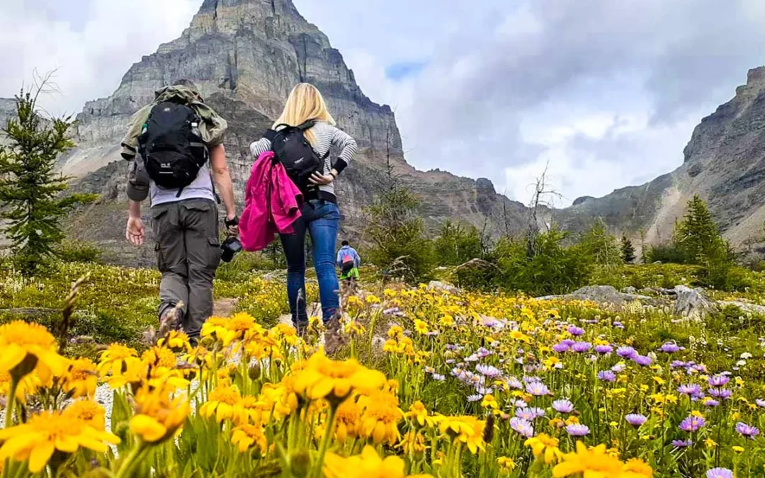 Hikers maintaining a steady pace on a mountain trail in the Canadian Rockies