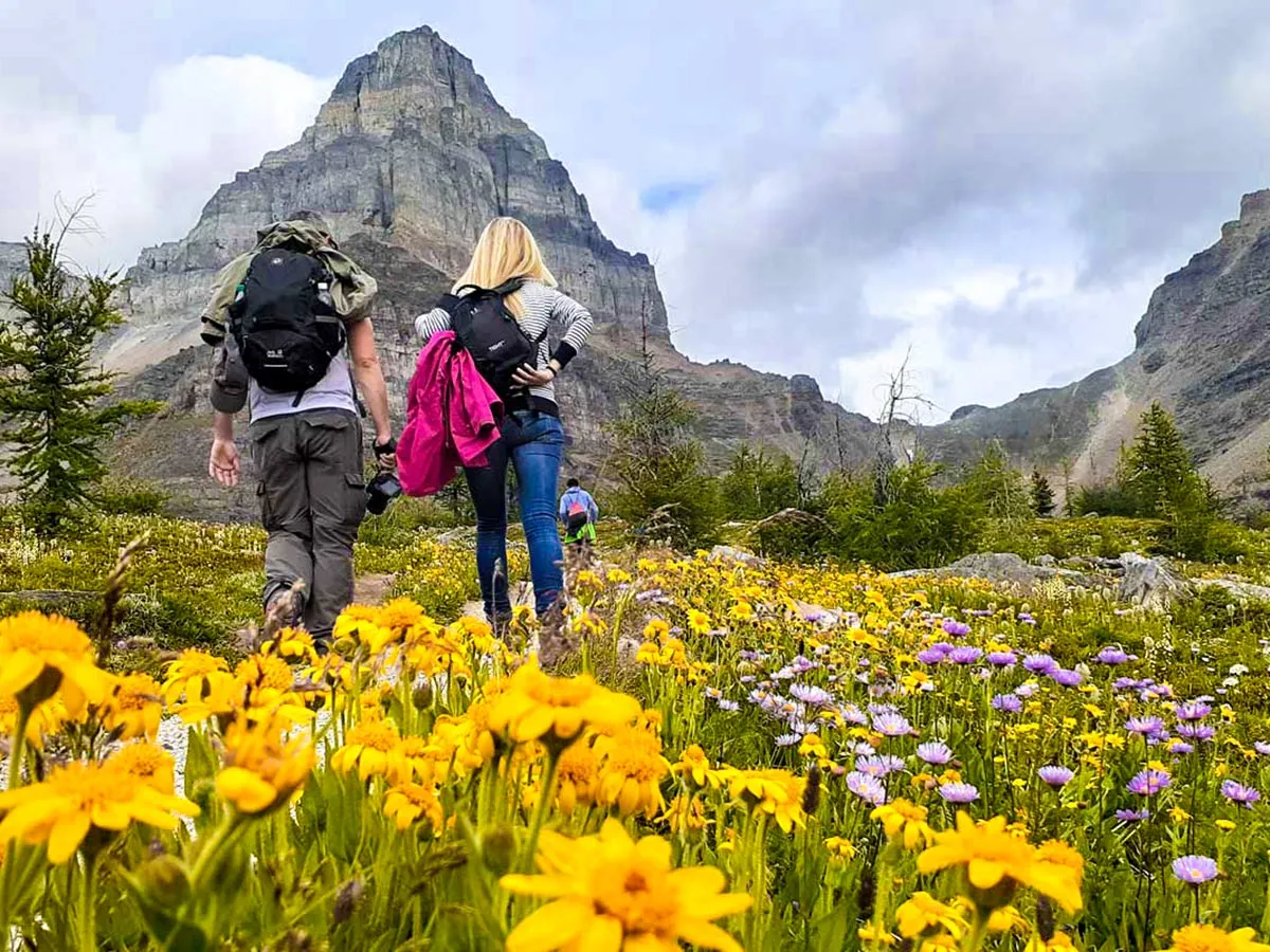 Hikers maintaining a steady pace on a mountain trail in the Canadian Rockies