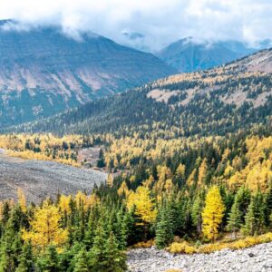 Valley view of the arethusa Hike