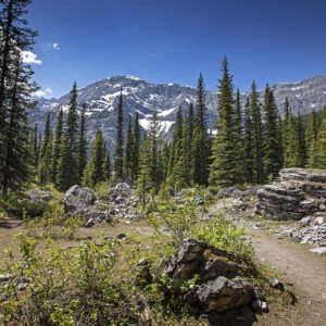 Black Prince Cirque in Kananaskis with alpine meadows, cirque walls, and a mountain trail leading into the basin