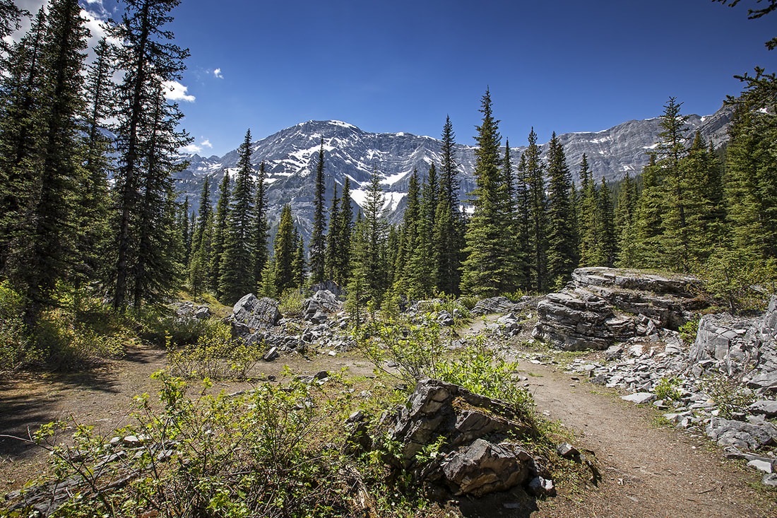 Quiet mountain trail near Black Prince Cirque in Kananaskis
