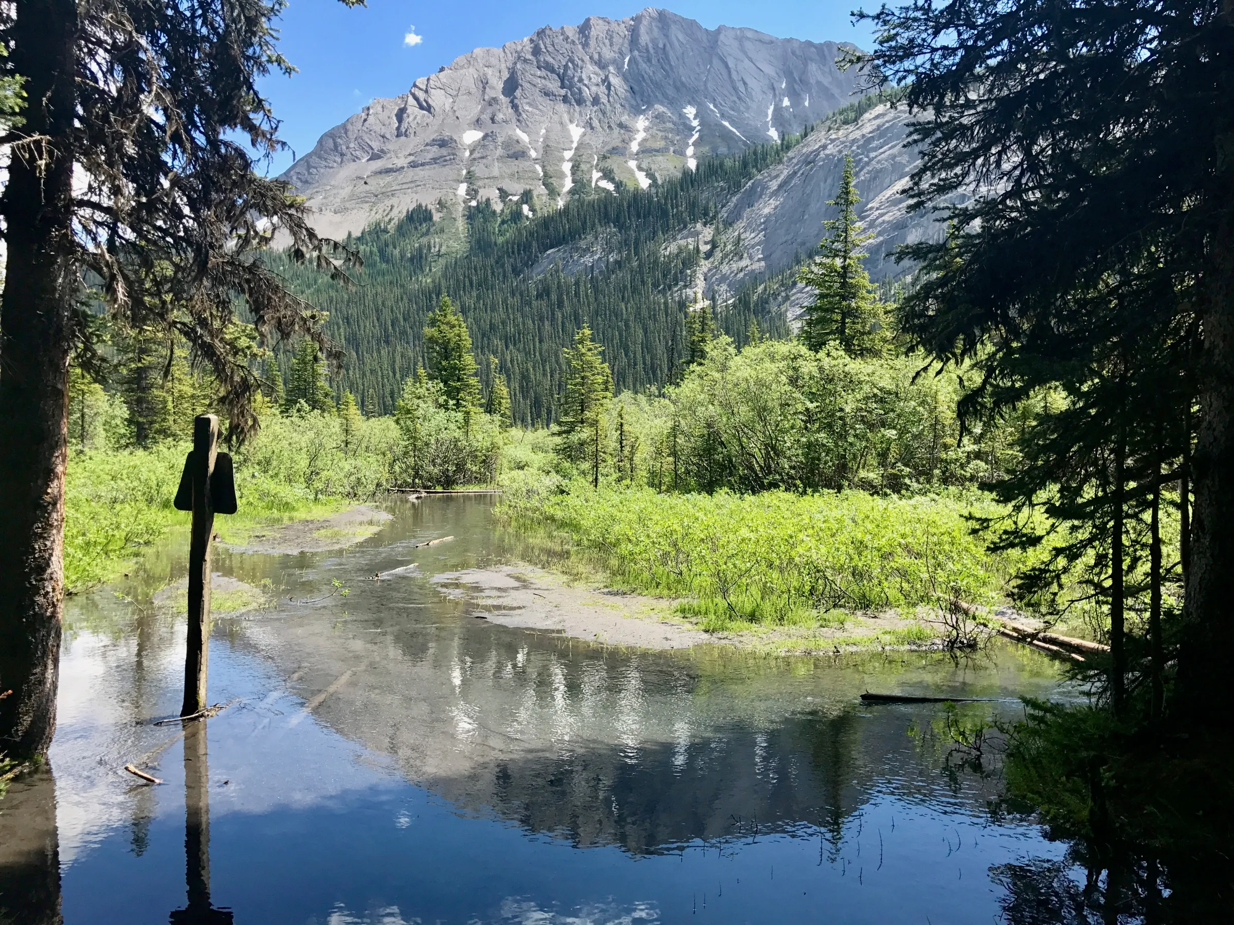 Trail across willow flats toward Burstall Pass in Kananaskis