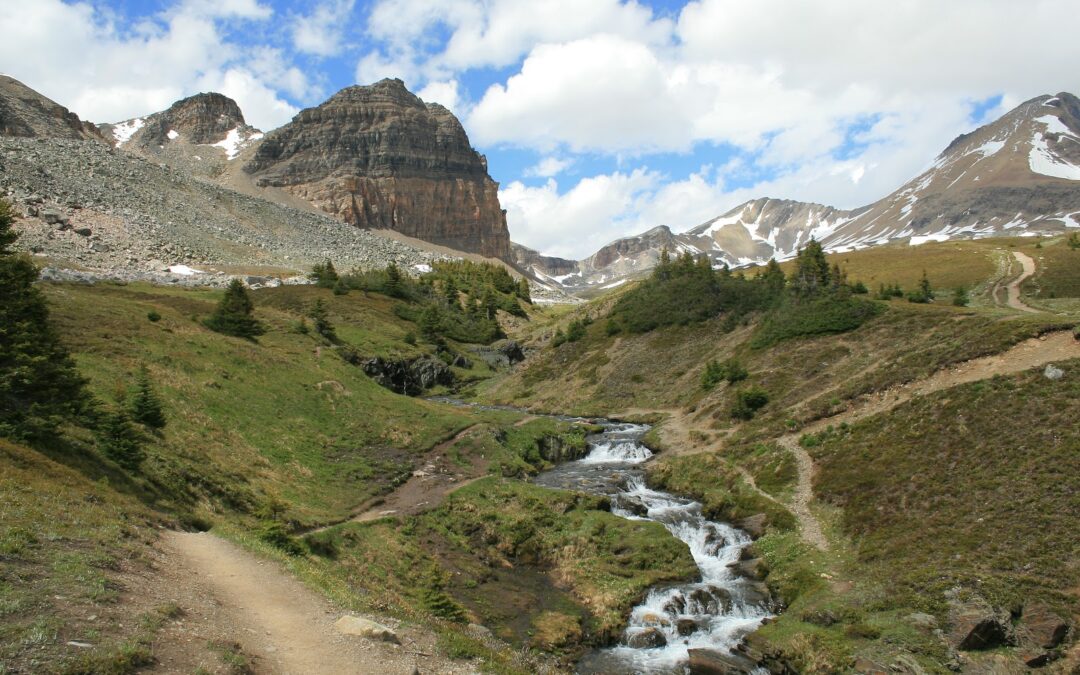 Icefields Parkway Helen Lake Trail
