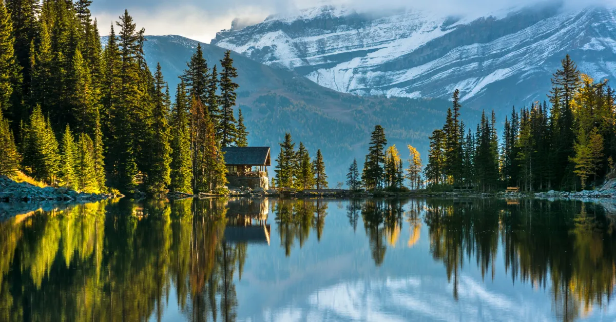 Forest trail approaching Grassi Lakes near Canmore