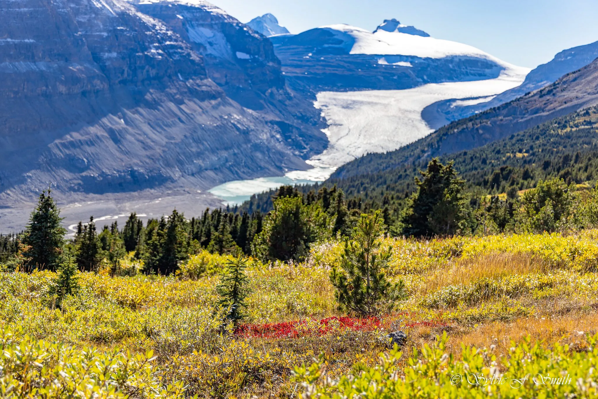 Parker ridge and the glacier in banff national park