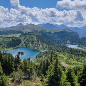 Sunshine Meadows Full-Day Guided Hike