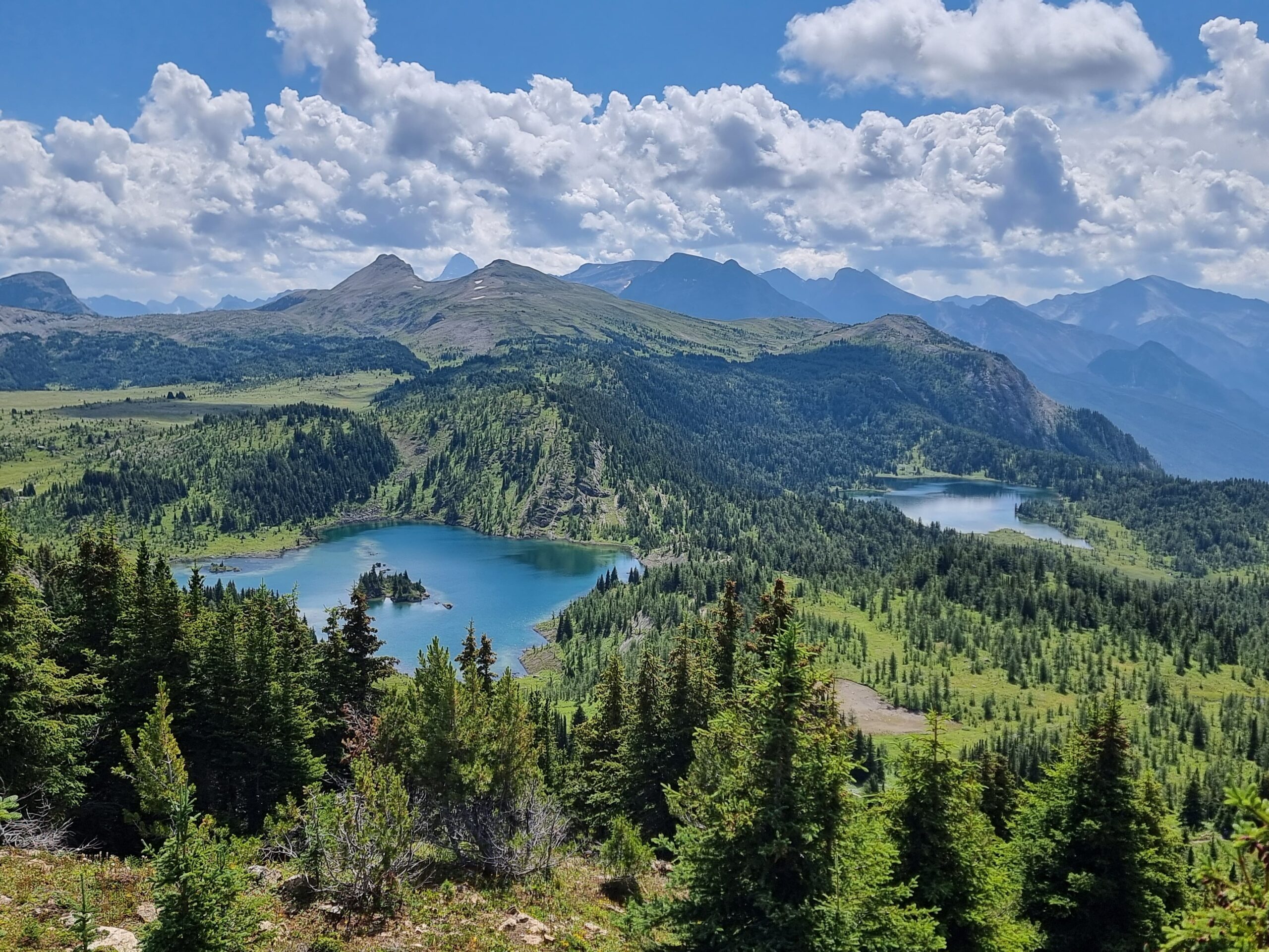 Sunshine meadows valley