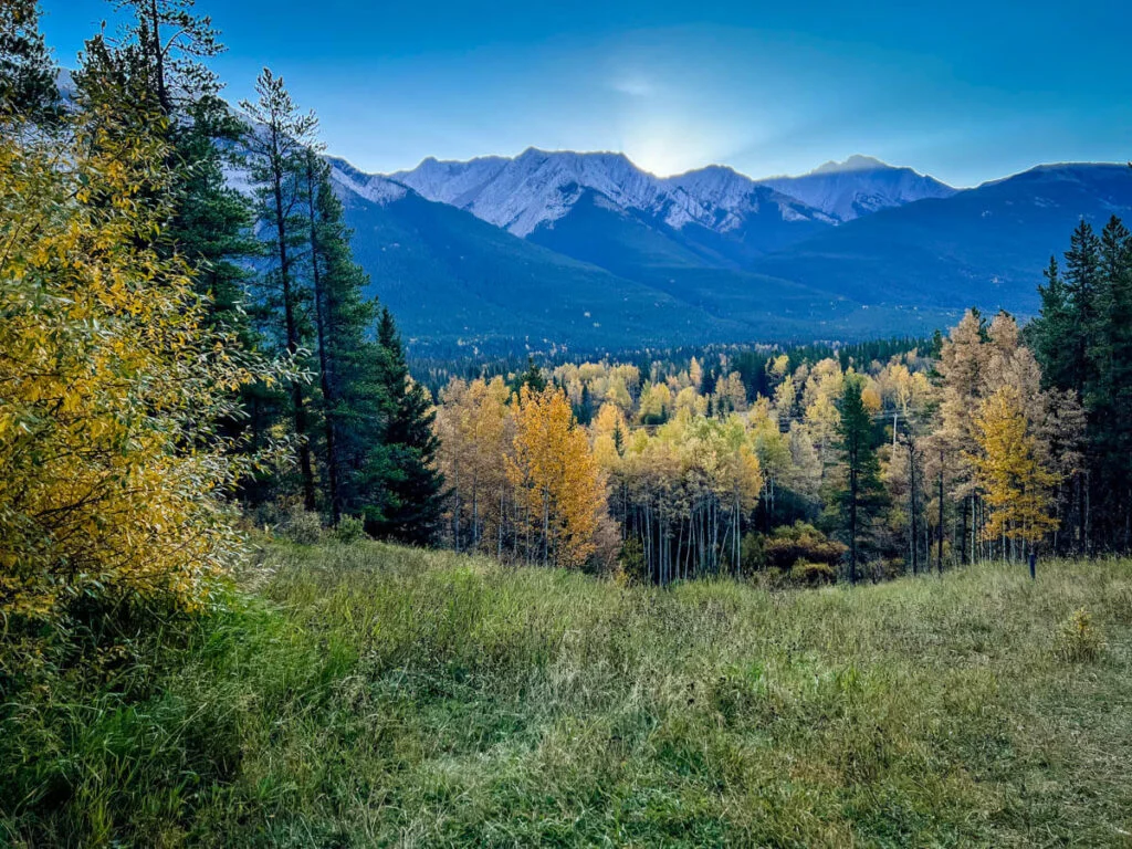 Forest trail leading toward Troll Falls in Kananaskis