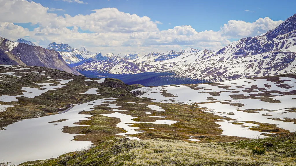 Wicox Pass in spring