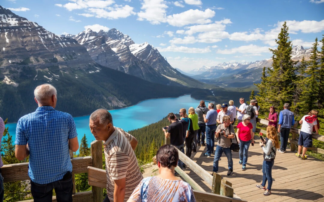 Private Guided Hiking vs Banff Sightseeing Tours: Which Is Right for You?