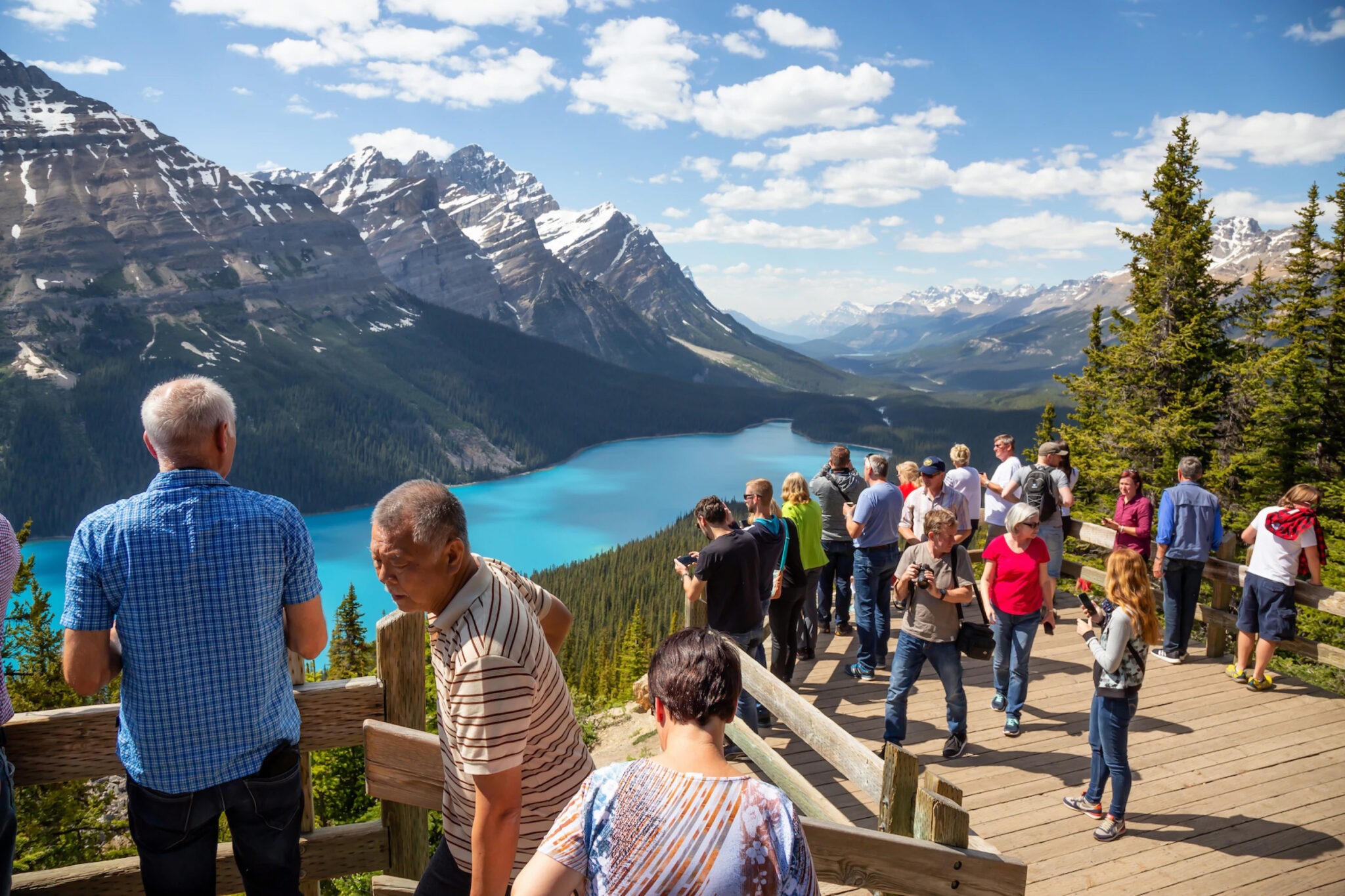 Private guided hiking in Banff compared with a sightseeing tour focused on scenic stops
