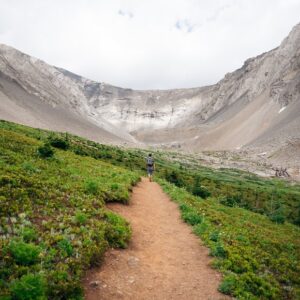 Book a half-day private guided hike to Ptarmigan Cirque in Kananaskis. Enjoy alpine scenery, wildflowers, thoughtful pacing, and a rewarding hike for active adults 50+.