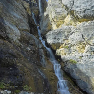 Stanley Glacier Half-Day Guided Hike